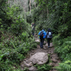 Foto que muestra dos personas caminando por un sendero 