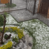 Granizada en Bogotá acumulada sobre el suelo de un patio con jardineras, mientras una estructura metálica y una cerca permanecen rodeadas por la capa blanca.