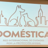 Logo de la Red DOMÉSTICA para la Protección Animal. Incluye las siluetas de un perro y un gato junto a una línea de horizonte urbano. Debajo aparece el texto: “DOMÉSTICA, Red Internacional de Ciudades para la Protección Animal”.