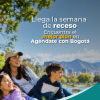 Imagen de pieza gráfica de Catastro Bogotá