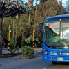 Foto de un bus TransMiZonal en una vía de Bogotá