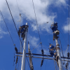 Foto que muestra trabajadores de Enel Colombia
