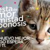 Jornada de adopción de perros y gatos - Imagen: Secretaría de Salud