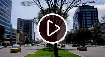 Piloto de Secretaría de Movilidad.