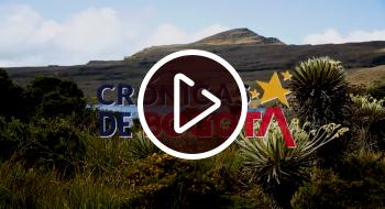 imagen de el páramo de Bogotá