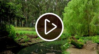 Imagen del humedal Santa María del Lago