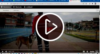 'Caifás' se volvió inseparable para los trabajadores y la comunidad en la Avenida Guayacanes ´Caifás´, un perro inseparable para trabajadores de la Avenida Guayacanes