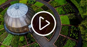 El Jardín Botánico de Bogotá, un sitio único en la ciudad en donde la naturaleza es la protagonista! El Jardín Botánico de Bogotá, un sitio único en la ciudad en donde la naturaleza es la protagonista!