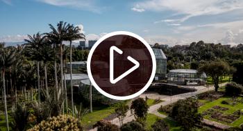 Abierto los sábados, domingos y festivos: el horario de atención es de 9:00 a.m. a 5:00 p.m. Foto: Jardín Botánico