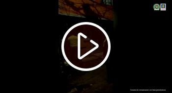 Banda 'Los Nevados', cinco hombres a la cárcel por hurto de bicicletas