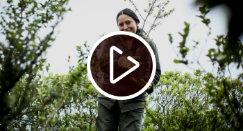 Video: Así recibieron madres y cuidadoras la fase 2 de Mujeres que Reverdecen