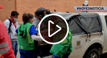 Más de 250 animales fueron valorados en operativo en el 20 de Julio 