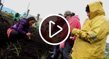 Video: Mujeres quibeñas que trabajan en agricultura y campo en Bogotá Video: Mujeres quibeñas que trabajan en agricultura y campo en Bogotá
