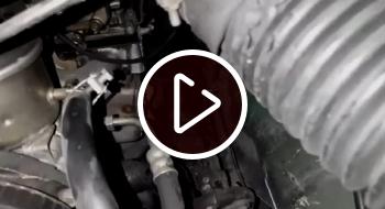 En video Bomberos de Bogotá rescataron gato atrapado en motor de un carro El rescate de un gato que se protegía del frío entre el motor de carro