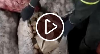 ¡De buenas papas nada! Video de la droga que traían a Bogotá oculta en carga