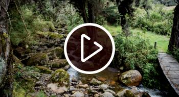 Video de El Delirio, nuevo sendero de Bogotá, se inaugurará en 2022