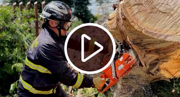 Caída de árboles e inundaciones: el trabajo de Bomberos en temporada de lluvias