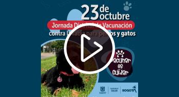 Jornada Distrital de Vacunación contra la rabia. Domingo 23 de octubre