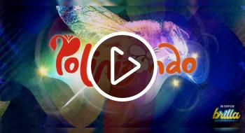 Compra tus boletas para Polinizando, la exposición del Jardín Botánico