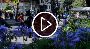 ¿Cómo va el mantenimiento de las ciclorrutas este 2022 en Bogotá?