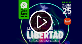 Invitación a la inauguració del Festival ni con el pétalo de una rosa en Bosa Invitación a la inauguració del Festival ni con el pétalo de una rosa en Bosa
