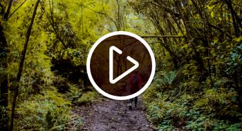 ¡Video! Nuevos senderos ecológicos se abrirán en los cerros orientales de Bogotá Nuevos senderos ecológicos se abrirán en cerros orientales en Bogotá