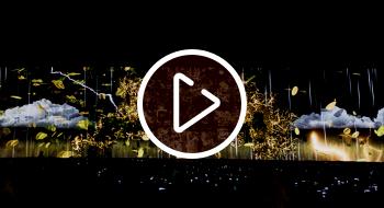 Video: Adultos mayores sacaron a su niño interior con El árbol de la abundancia