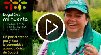 ¿Qué plantas medicinales se pueden plantar en una huerta de Bogotá?