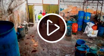 Operativo en matadero