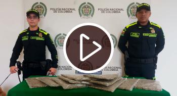 Perro policía olfateó 5.085 g de estupefaciente camuflado en El Dorado