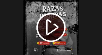 Documental sobre razas híbridas de perros Maloka e Idpyba 22 de abril 