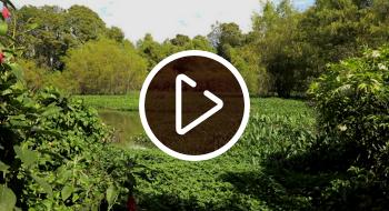 Así impacta el alumbrado público las zonas ambientales protegidas