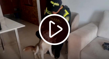 Policía verificó denuncia de presunto maltrato animal en Fontibón