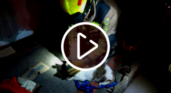 Bomberos rescataron a un gatito atrapado en una caja de aguas en Engativá