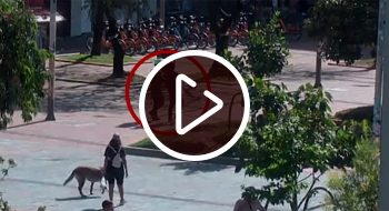 Video: Capturados por ofrecer estupefacientes a jóvenes en parque de Chapinero