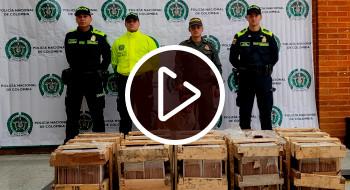 Video: Seguridad en Bogotá, incautados en El Dorodo 240 kilos de marihuana 